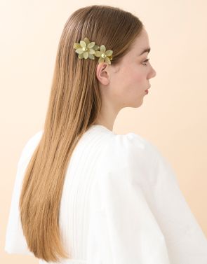 DAISY