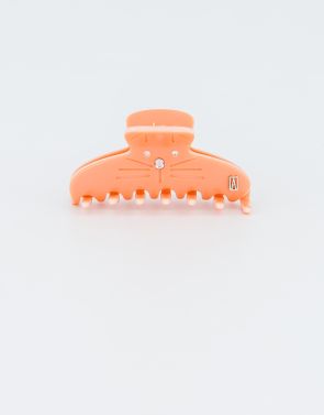ACCS-18527-02O