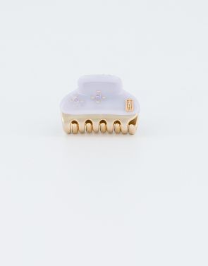ICCB-12831-42OL